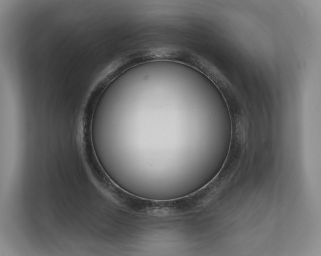 X0000110980730200906261429