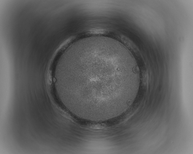 X0000110980731200906261429