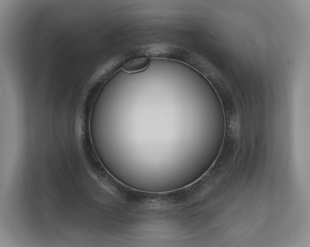 X0000110980732200906261429