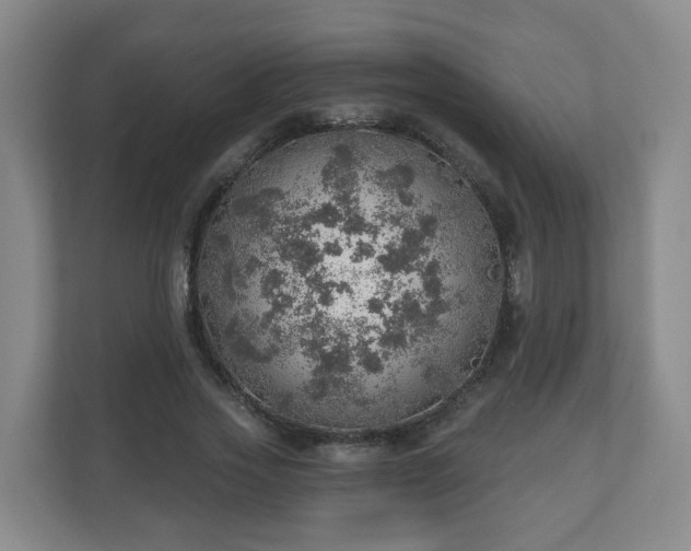 X0000110980733200906261429