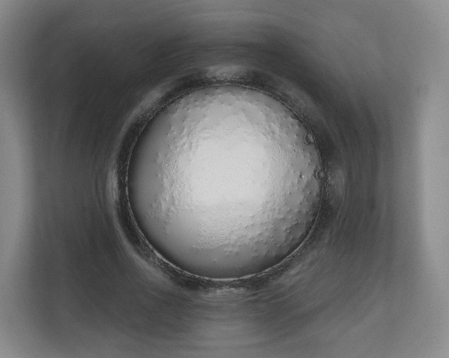 X0000110980734200906261429