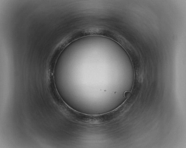 X0000110980735200906261429