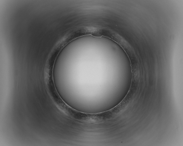 X0000110980736200906261429