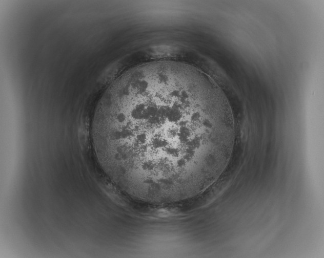 X0000110980737200906261429