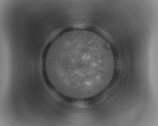 X0000110980738200906261429