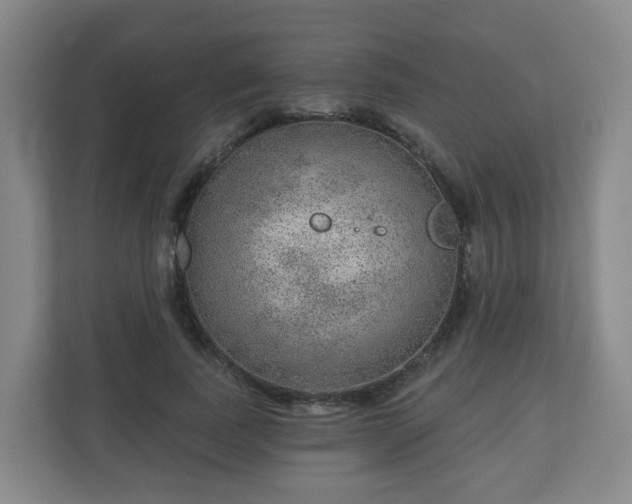 X0000110980739200906261429