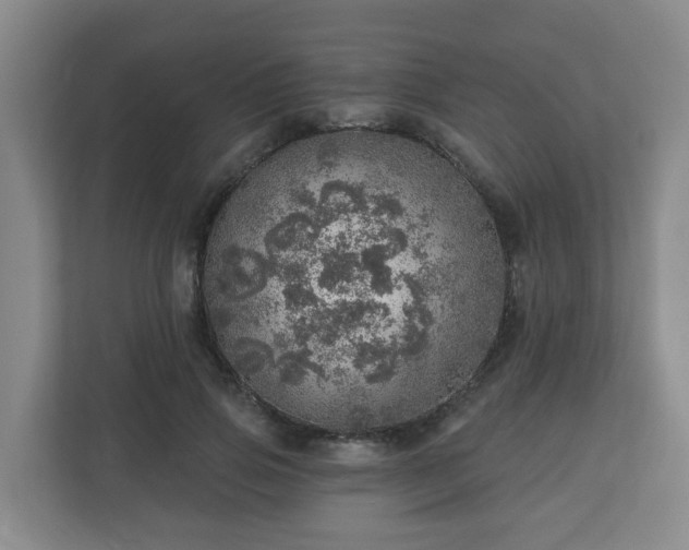 X0000110980741200906261429