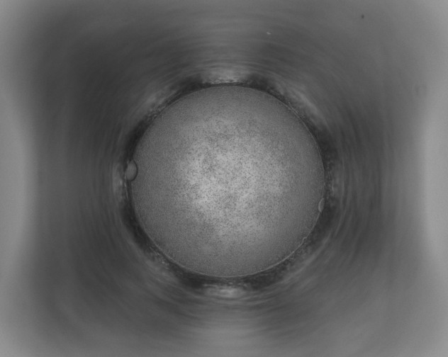 X0000110980743200906261429