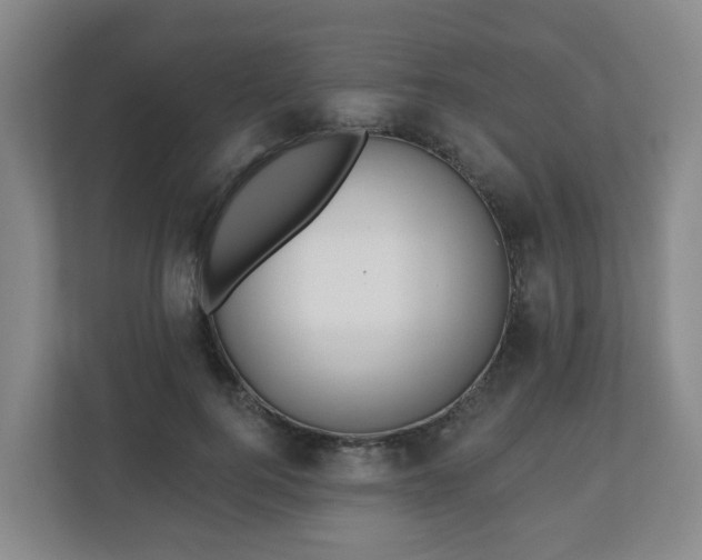 X0000110980744200906261429