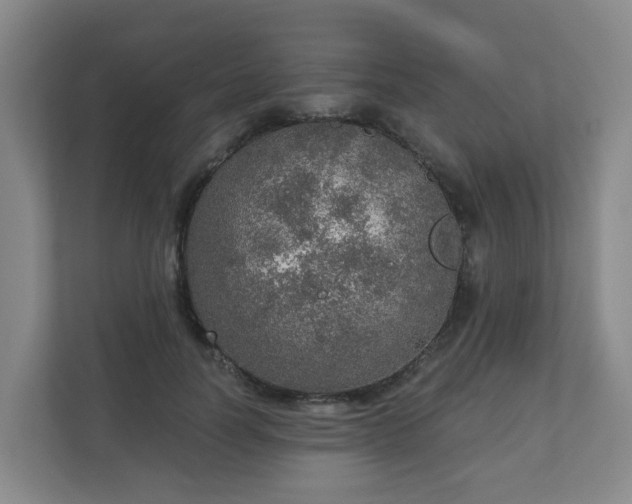 X0000110980746200906261429