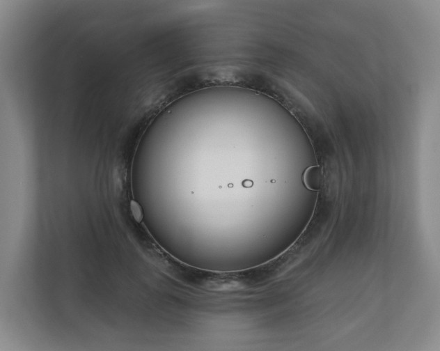 X0000110980747200906261429