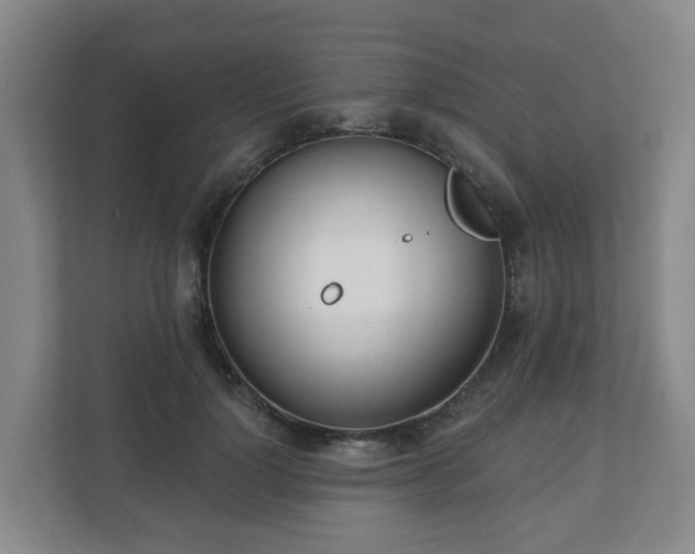 X0000110980748200906261429