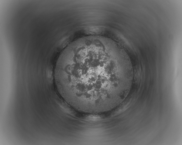 X0000110980749200906261429