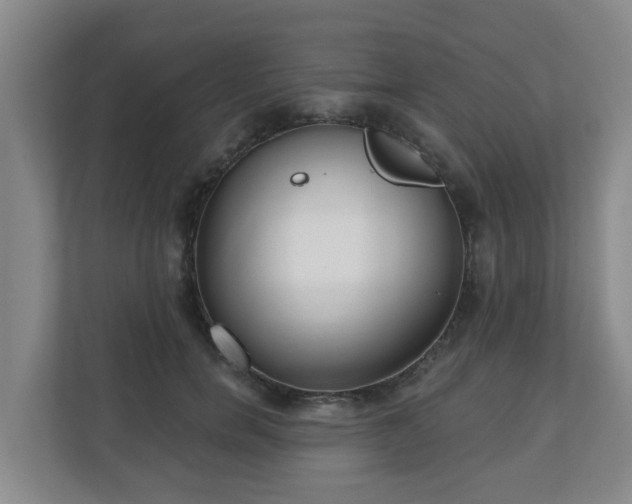 X0000110980750200906261429