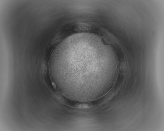 X0000110980751200906261429