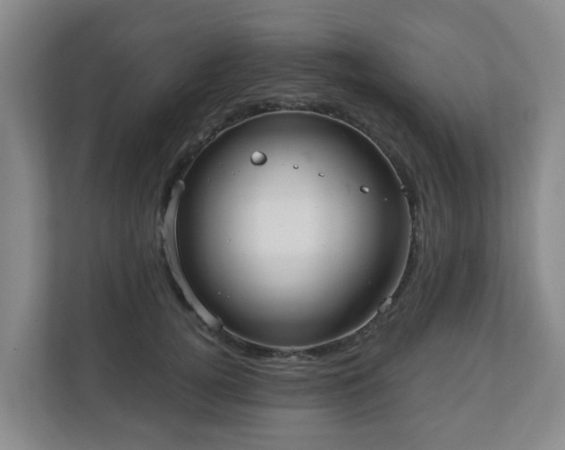 X0000110980752200906261429