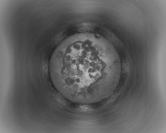 X0000110980753200906261429