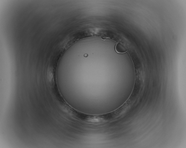 X0000110980754200906261429