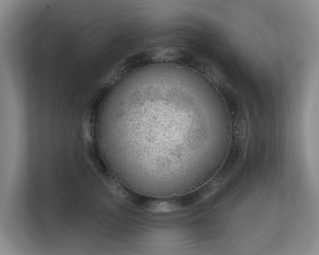 X0000110980755200906261429