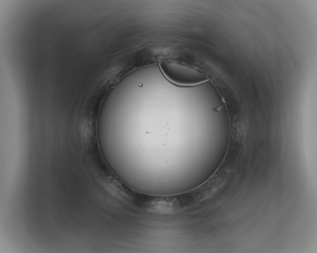 X0000110980756200906261429