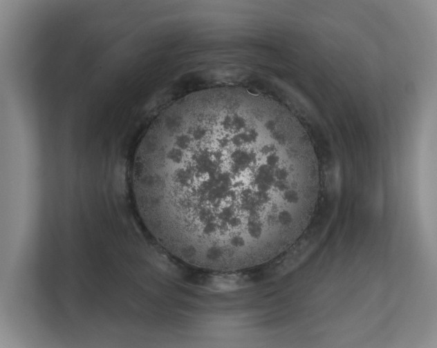 X0000110980757200906261429