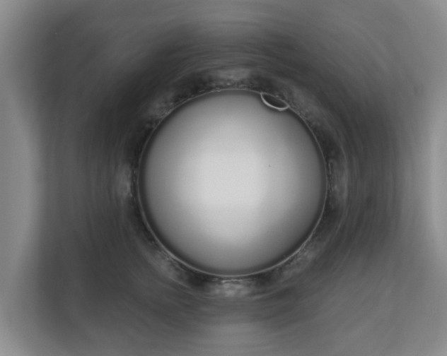 X0000110980758200906261429