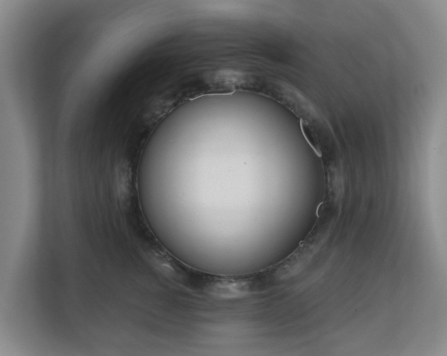 X0000110980760200906261429