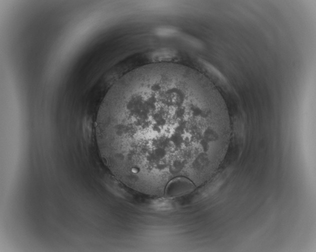 X0000110980761200906261429