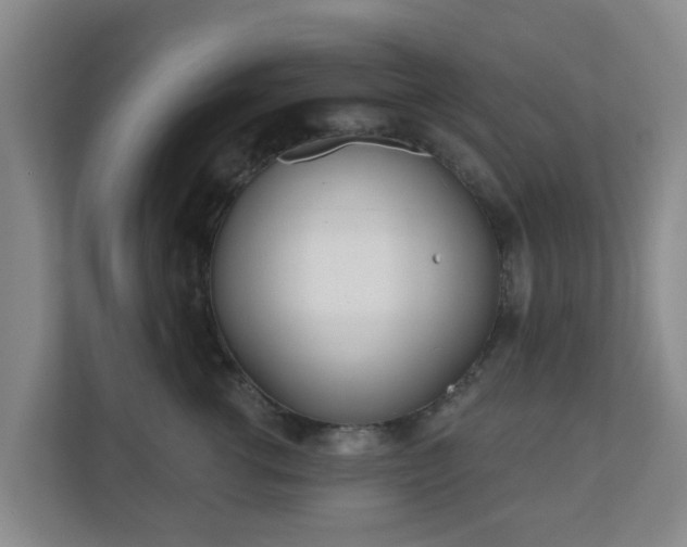 X0000110980762200906261429