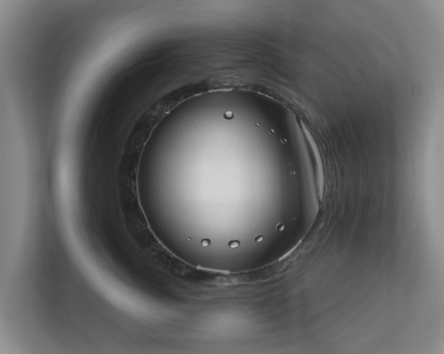 X0000110980764200906261429