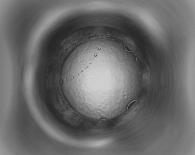 X0000110980765200906261429