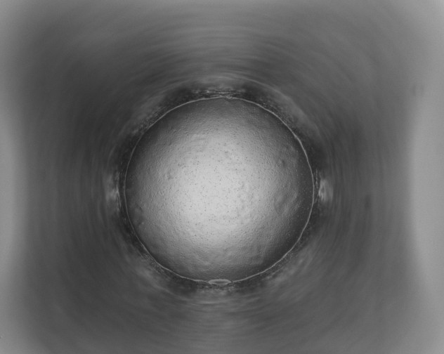 X0000110980771200906261428