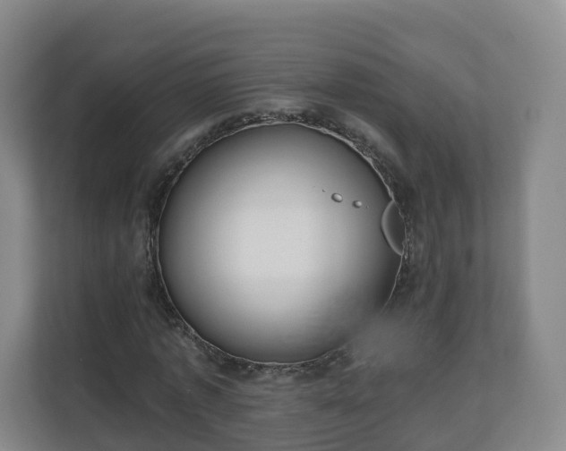 X0000110980773200906261428