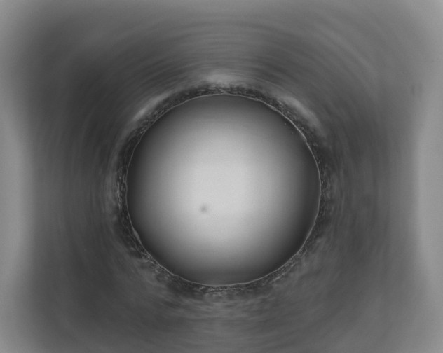 X0000110980776200906261428