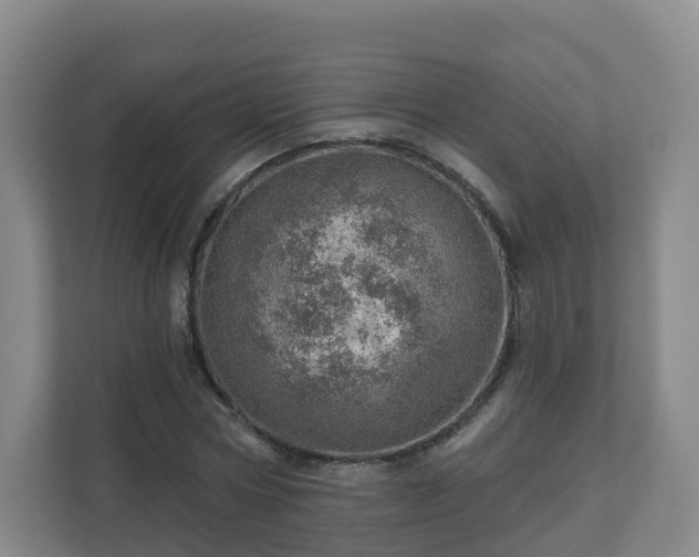 X0000110980778200906261428