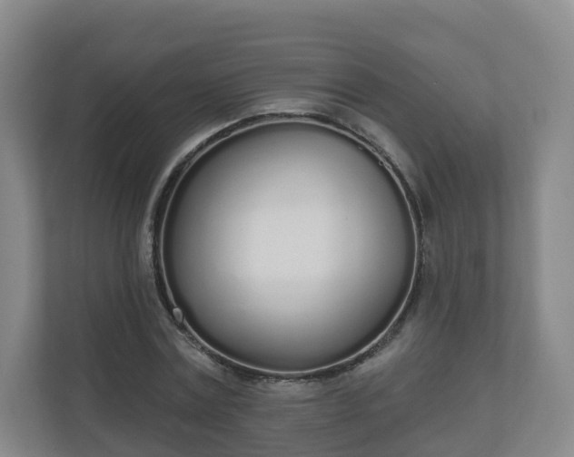 X0000110980779200906261428