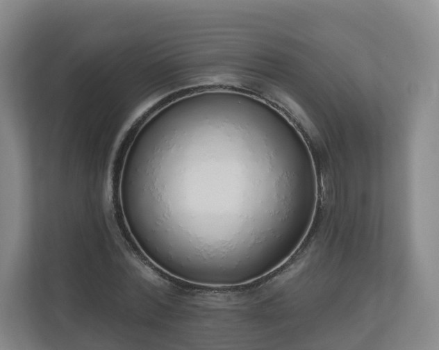 X0000110980780200906261428