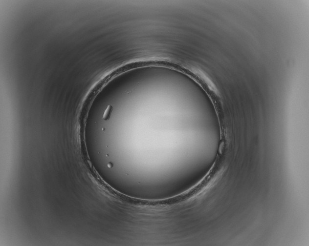 X0000110980781200906261428