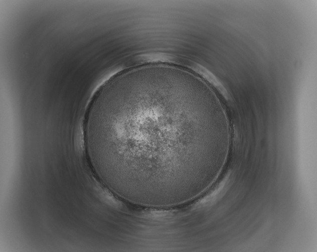 X0000110980782200906261428