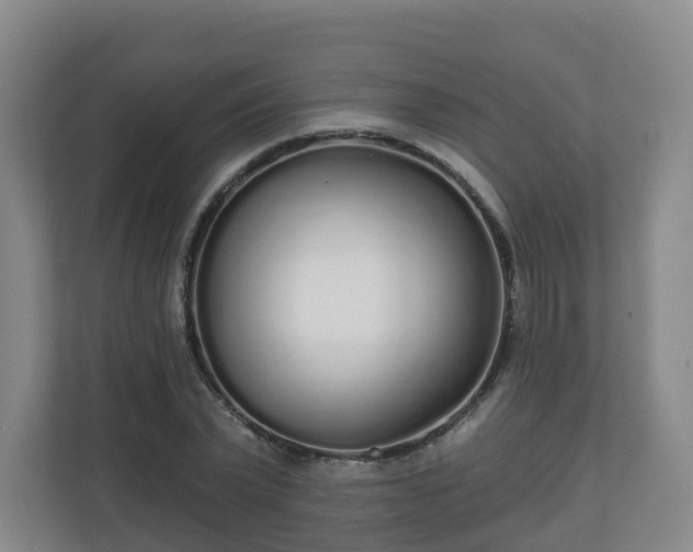 X0000110980783200906261428