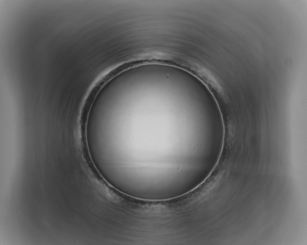 X0000110980784200906261428