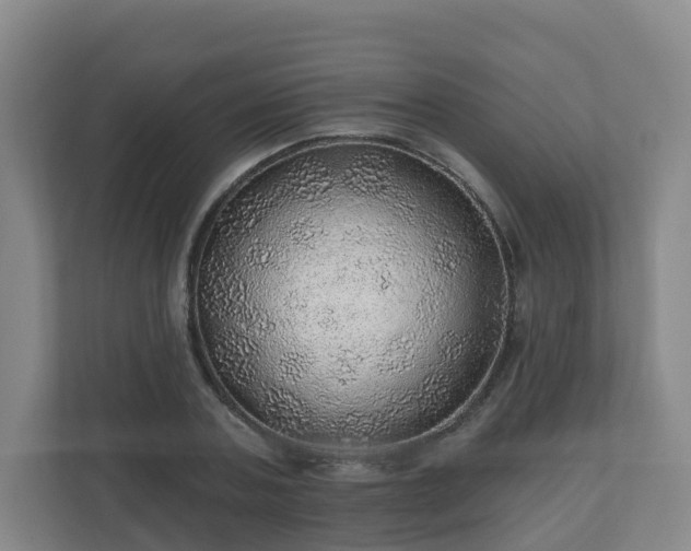 X0000110980787200906261428