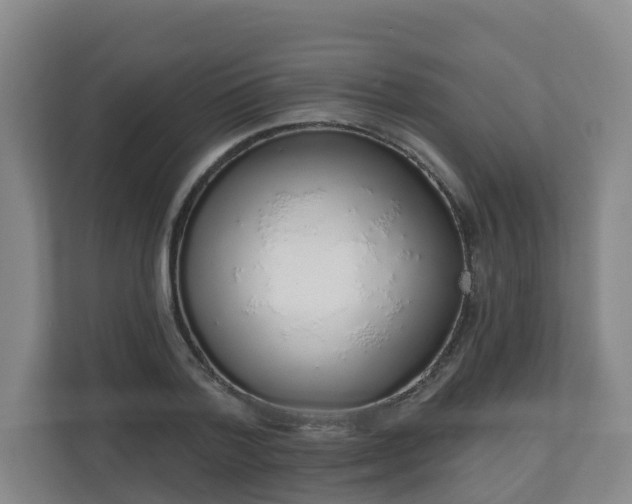 X0000110980788200906261428