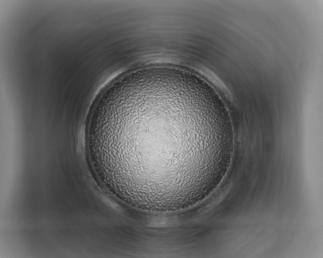 X0000110980790200906261428