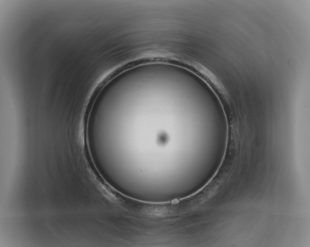 X0000110980791200906261428