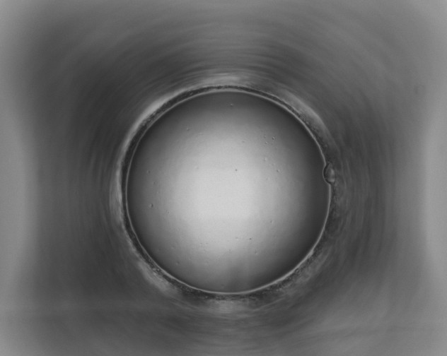 X0000110980792200906261428