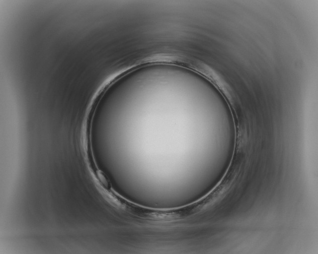 X0000110980795200906261428