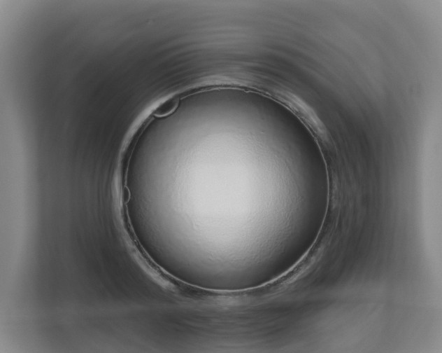 X0000110980796200906261428