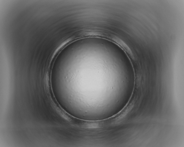 X0000110980798200906261428