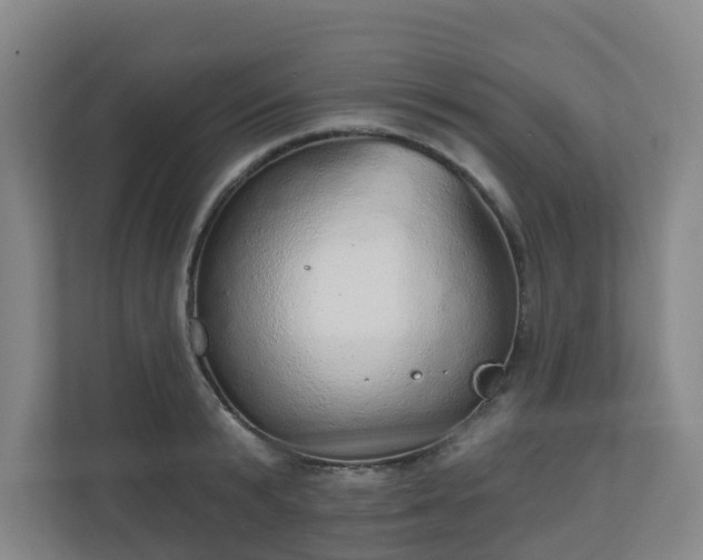 X0000110980799200906261428